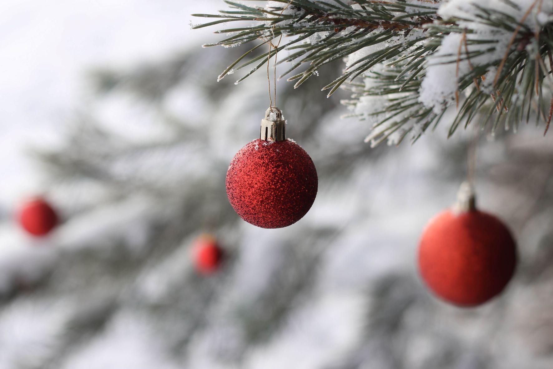 Weihnachtsbild